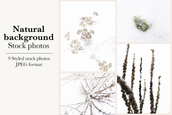 Winter Backgrounds: Capturing the Season's Soul for Your Projects